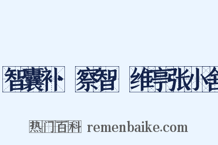 智囊补·察智·维亭张小舍是什么意思的图片